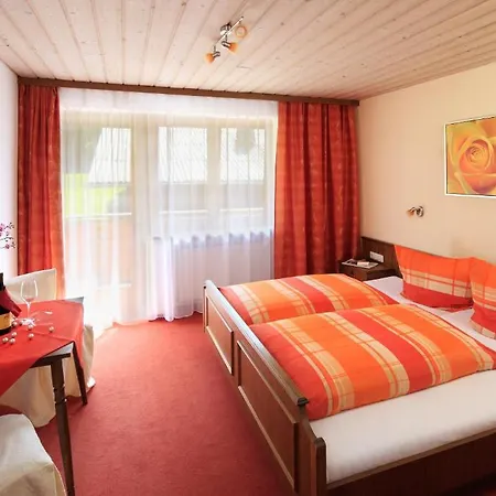 호텔 Garni Stockacher Hof 3*